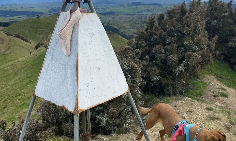 Mt Clyde, Manawatu - Wanganui