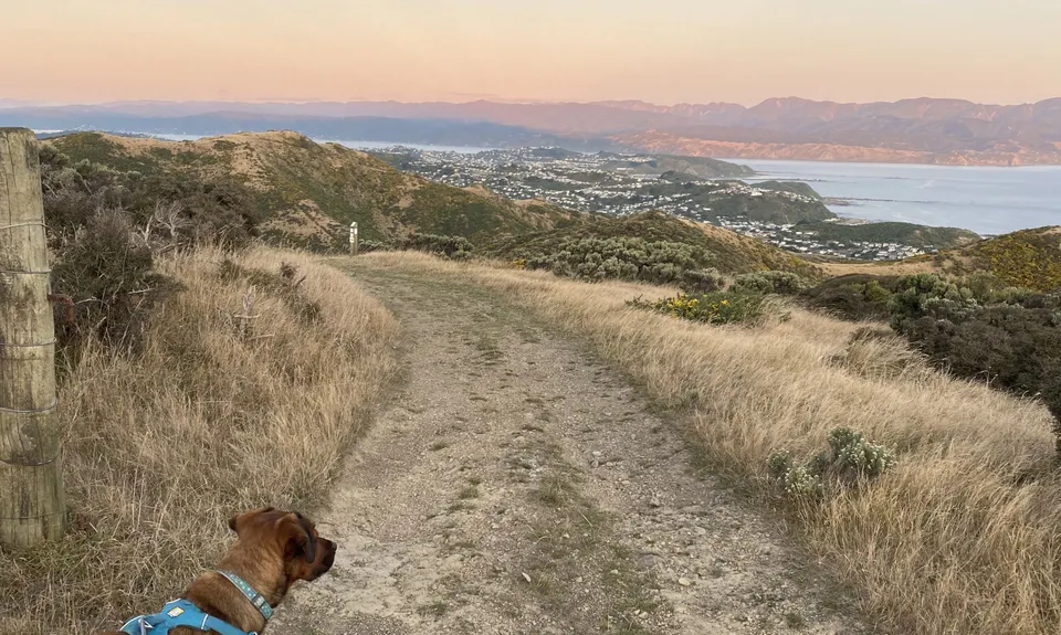 Aro Valley - Red Rocks Thigh Buster, Wellington