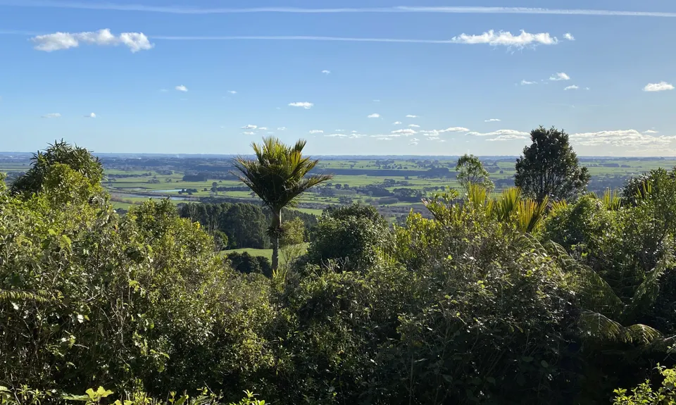 Tawa Loop - Manawatu Gorge, Manawatu - Wanganui