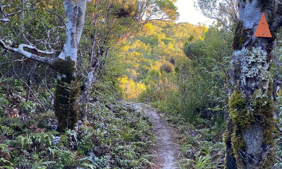 Middle of Middle Earth, Wellington
