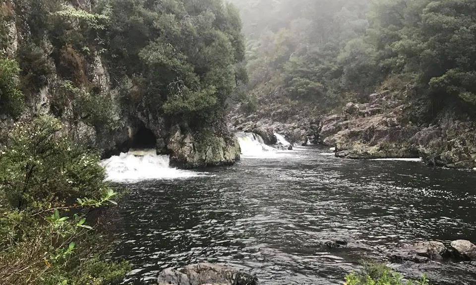 Swingbridges & Tunnels, Waikato