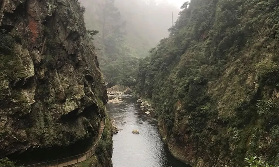 Swingbridges & Tunnels, Waikato