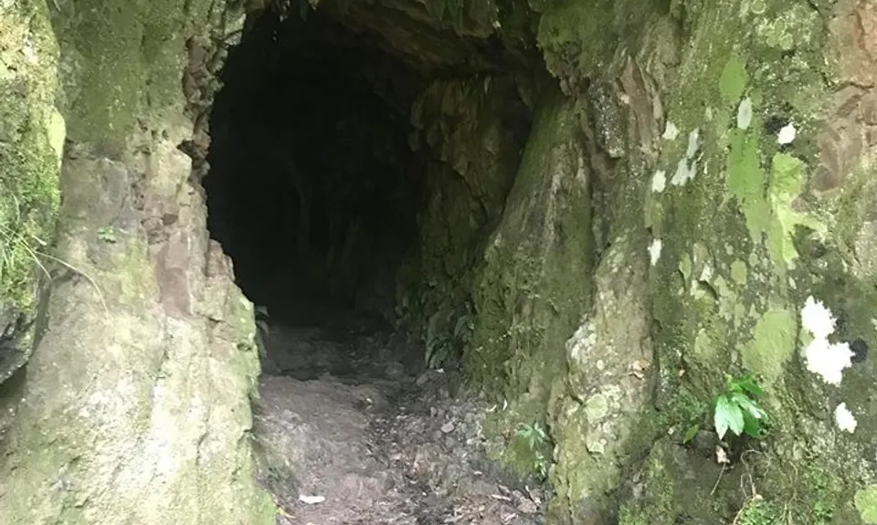 Swingbridges & Tunnels, Waikato
