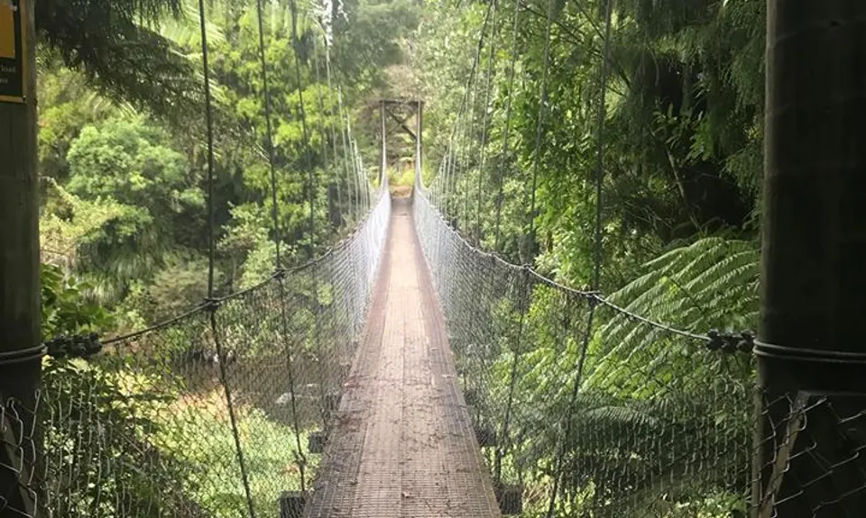Swingbridges & Tunnels, Waikato
