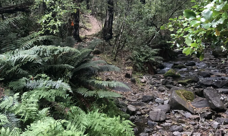 Benmore Hut to the bushline, Canterbury