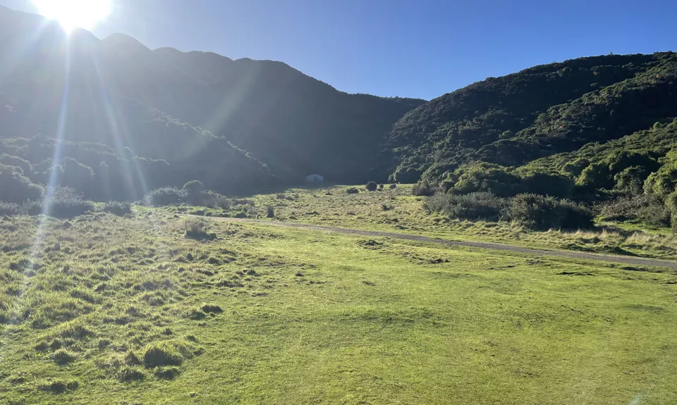 Linking the Reserves, Wellington
