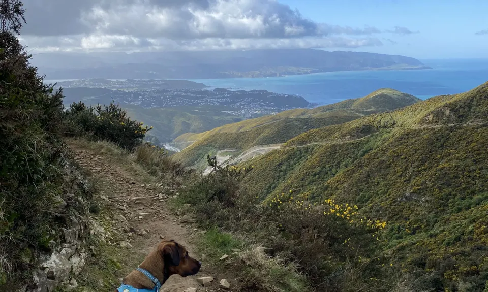 WUU2k - 42km Route, Wellington