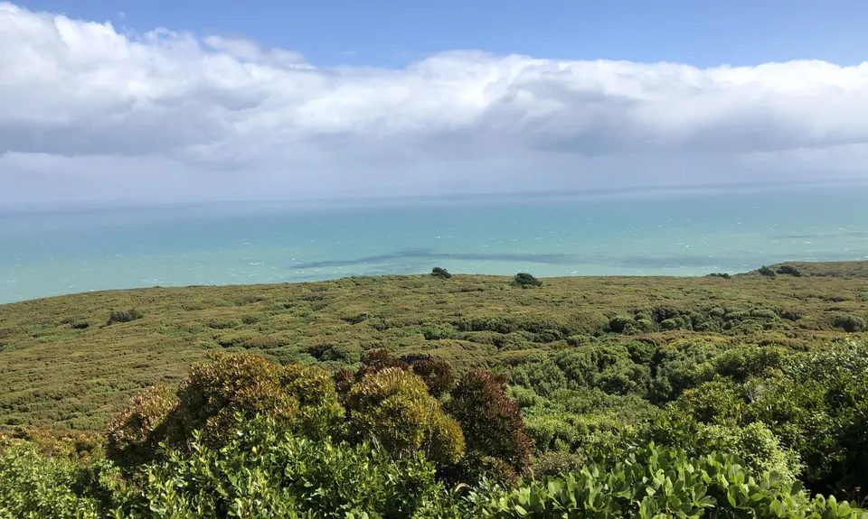 Bluff Hill Loops, Southland