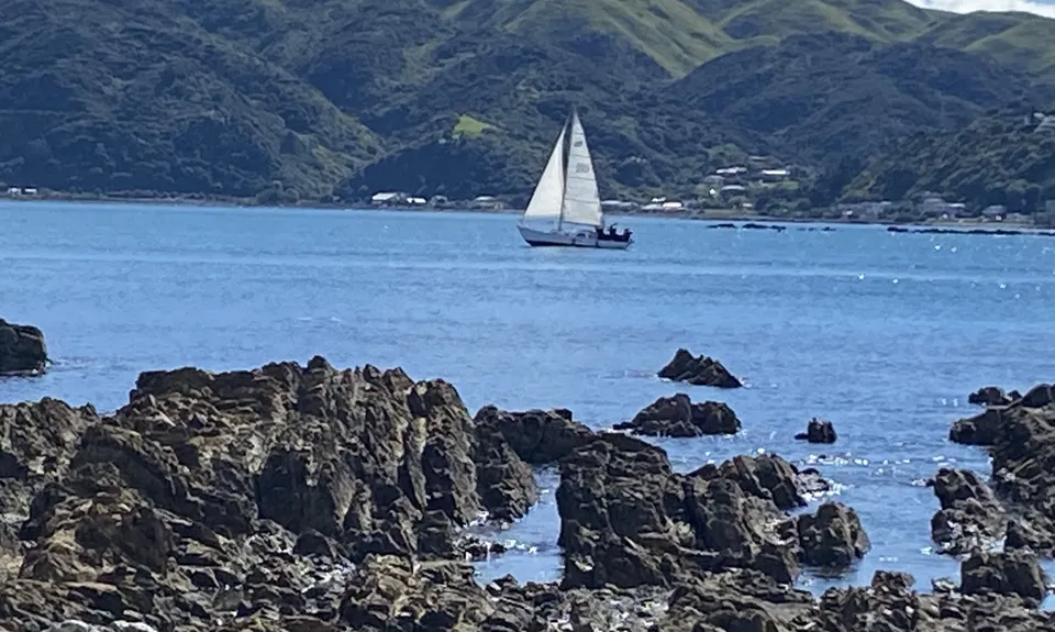 Whitireia and Titahi Bay Cliffs, Wellington