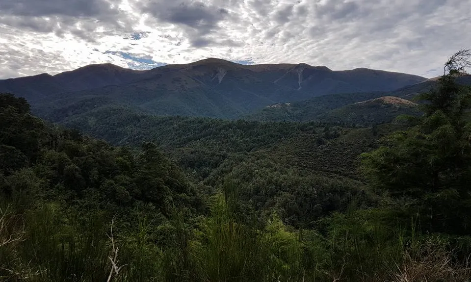 Coopers Creek - Ryde Falls loop, Canterbury