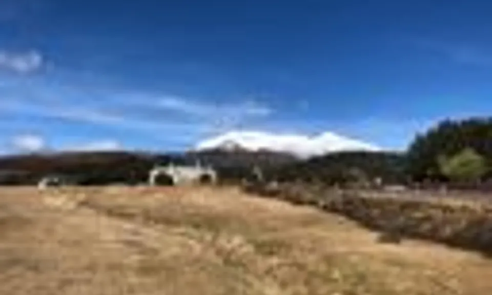 Whakapapanui Track, Manawatu - Wanganui