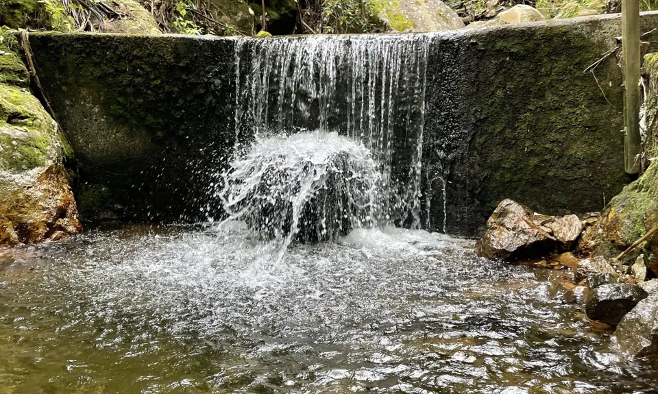 Te Aroha Summit Loop, Waikato