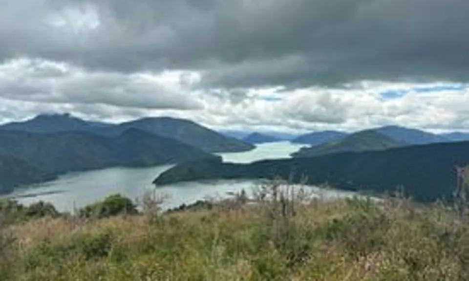 Takorika Bites!, Marlborough