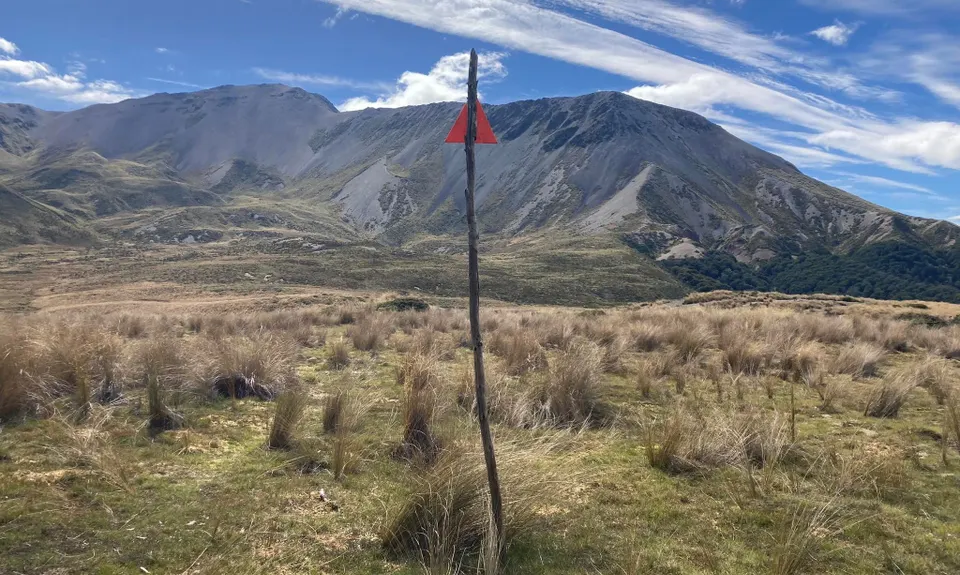 Boyd Creek Tops & Nature Walk, Southland