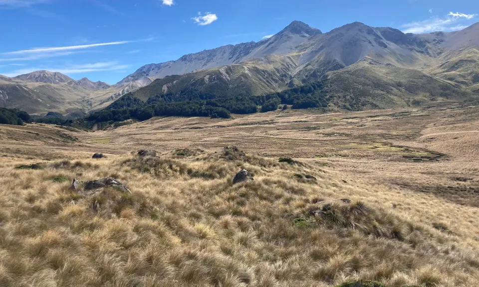 Boyd Creek Tops & Nature Walk, Southland