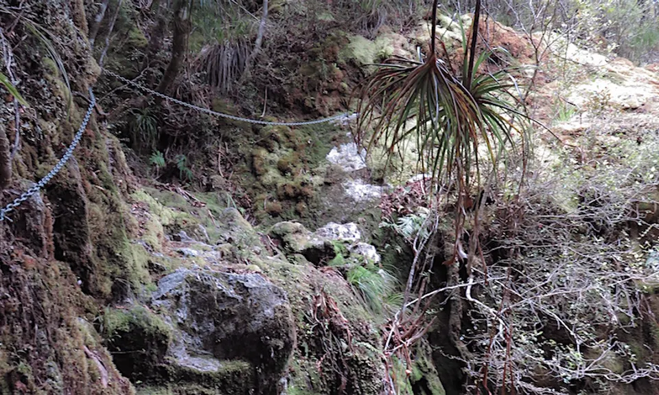 Wangapeka via Biggs Tops, West Coast