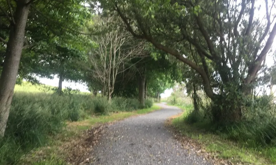 Lake D Dash, Waikato