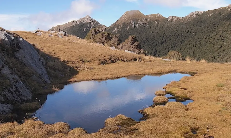 Wangapeka via Biggs Tops, West Coast