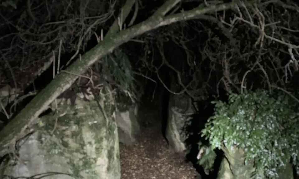 Forrest Hill Track, Southland