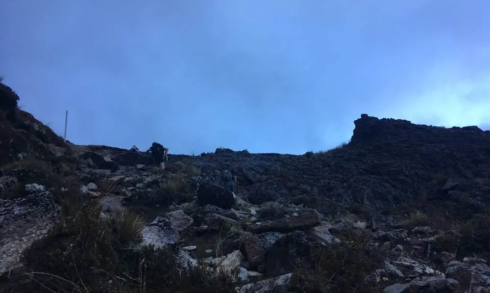 Ruapehu - West Side, Manawatu - Wanganui