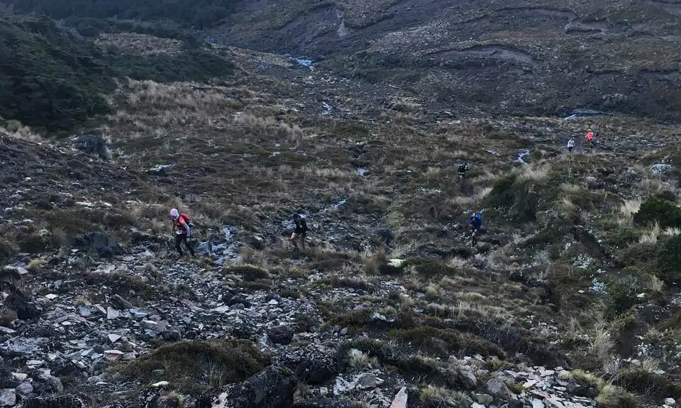 Ruapehu - West Side, Manawatu - Wanganui