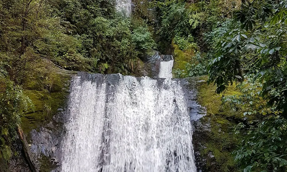 Coopers Creek - Ryde Falls loop, Canterbury