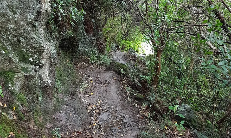 VKV challenge, Canterbury