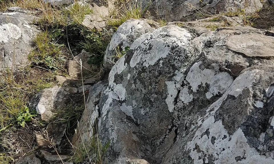 A Diamond in the Rough, Canterbury