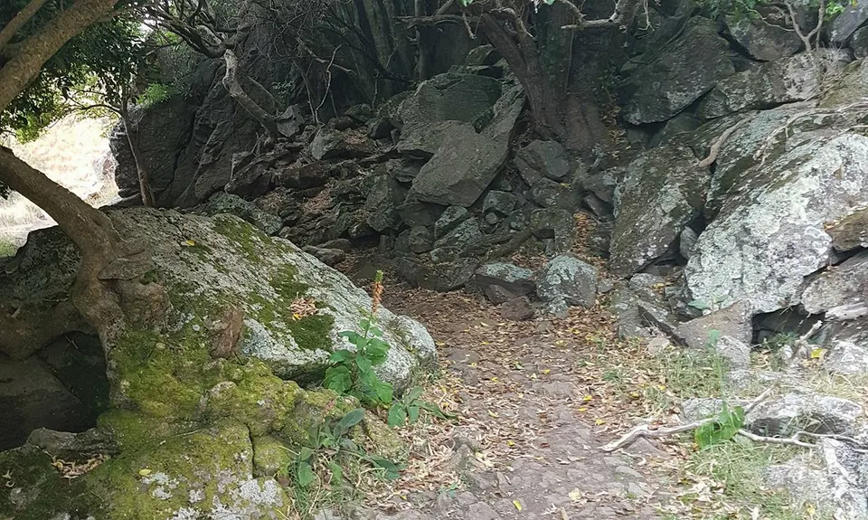A Diamond in the Rough, Canterbury