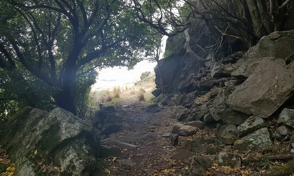 A Diamond in the Rough, Canterbury