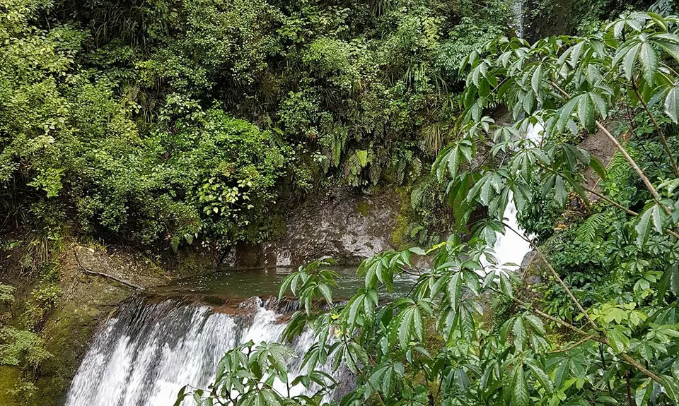 Coopers Creek - Ryde Falls loop, Canterbury