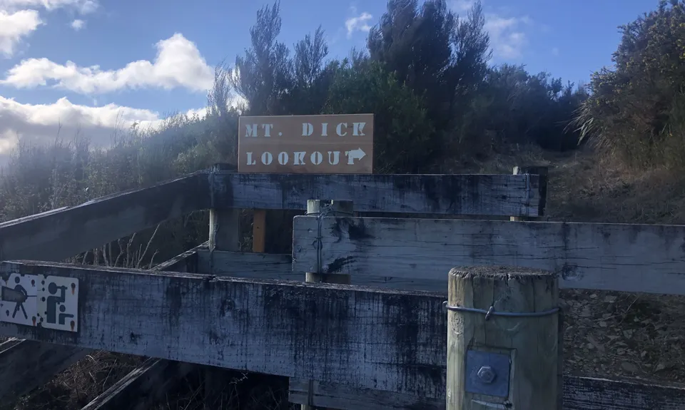 Mt Dick Loop, Wellington
