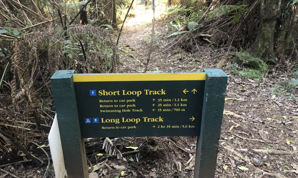 Aongatete Loop, Bay of Plenty