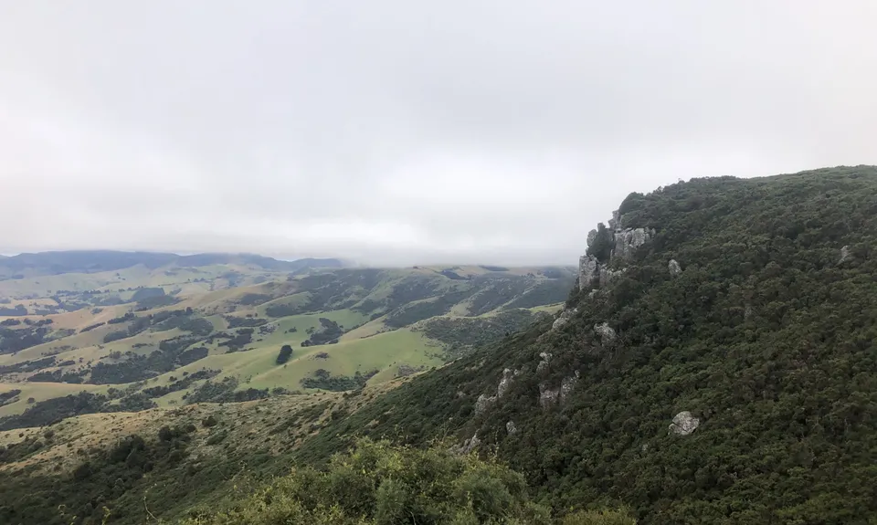 Purple Peak Pilgrimage, Canterbury