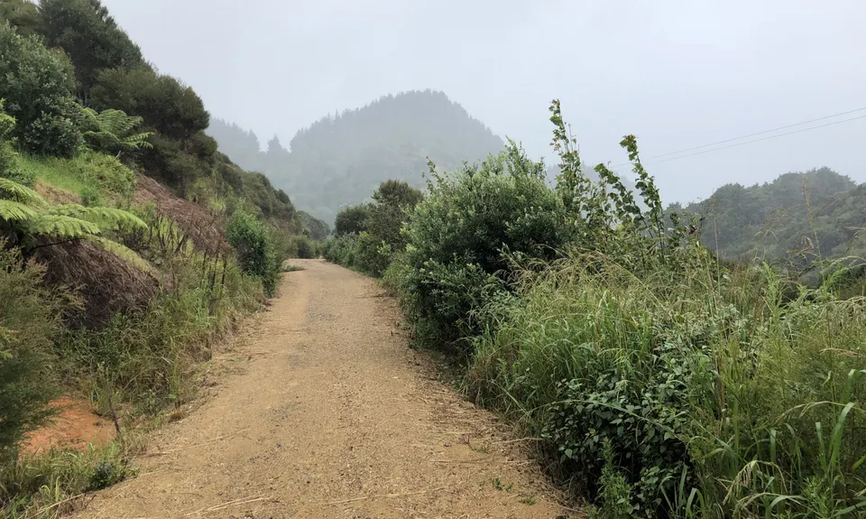 Whananaki Coastal Track, Northland
