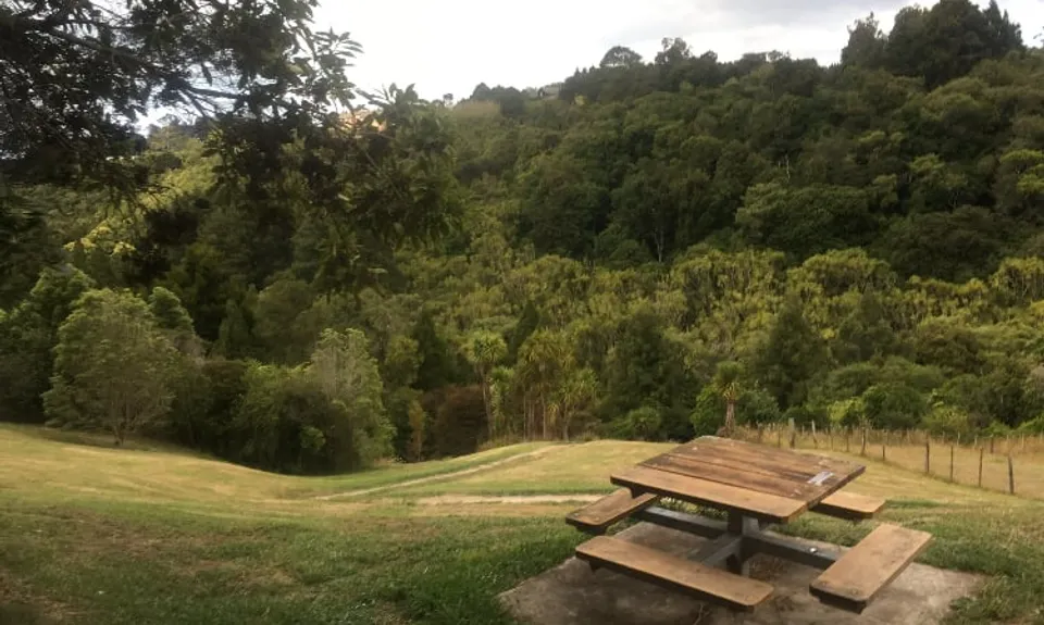 Mangemangeroa Track, Auckland
