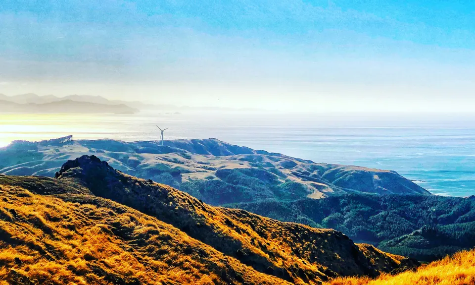 Chartwell-Skyline Loop, Wellington
