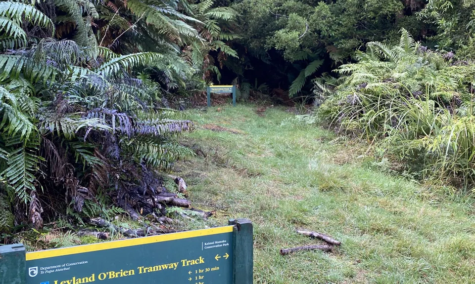 Ngamuwahine - Bobs Loop, Bay of Plenty