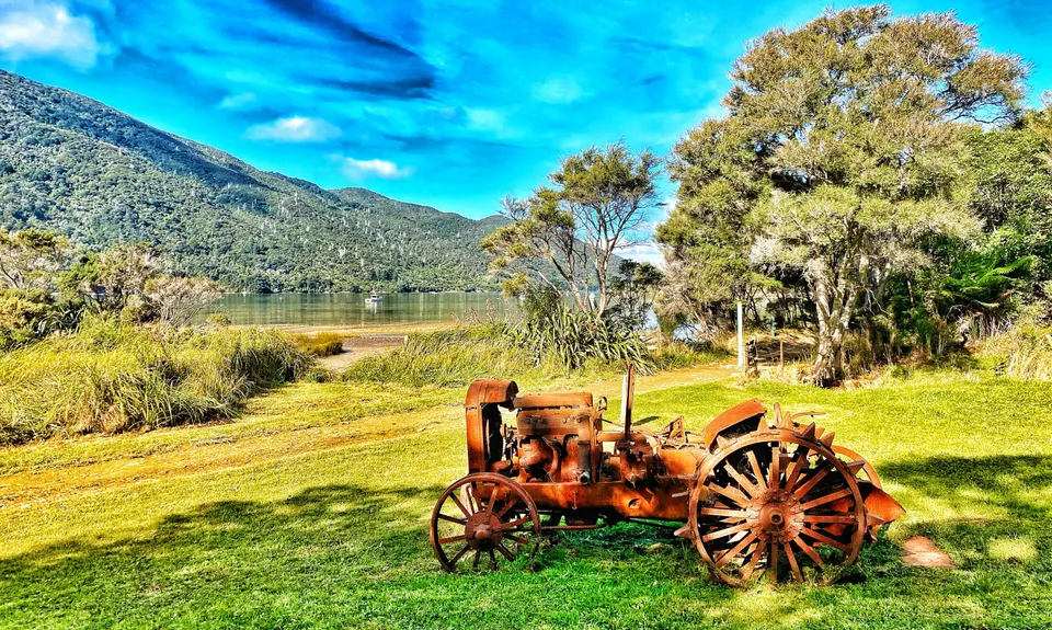 Cove to Cove , Marlborough