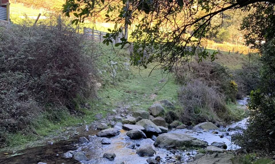 Cable Bay - Glenduan, Nelson