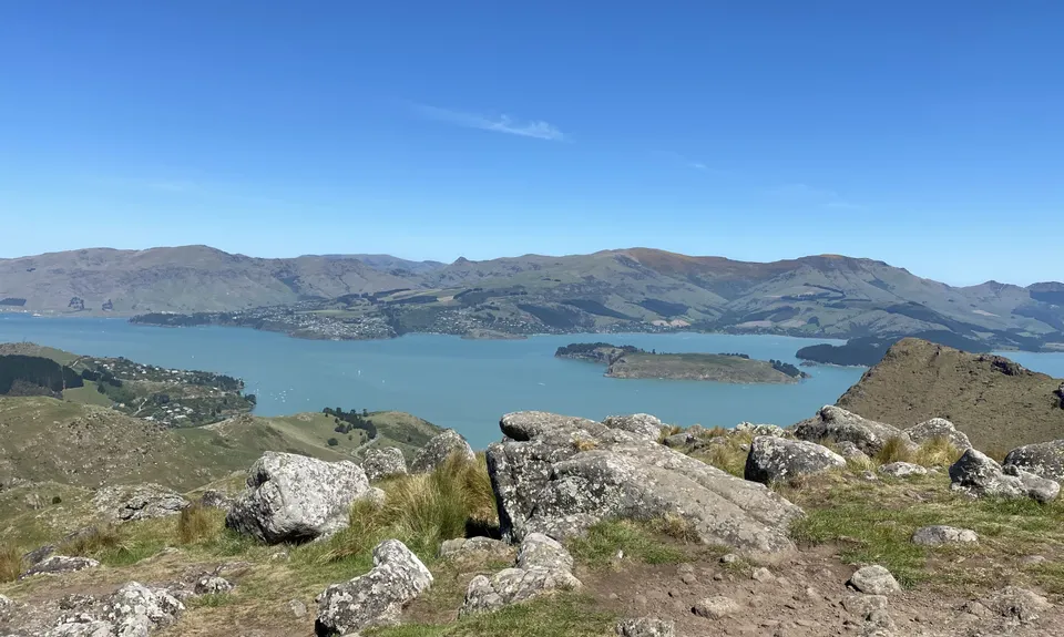 Sign Of The Takahe - Rapaki, Canterbury