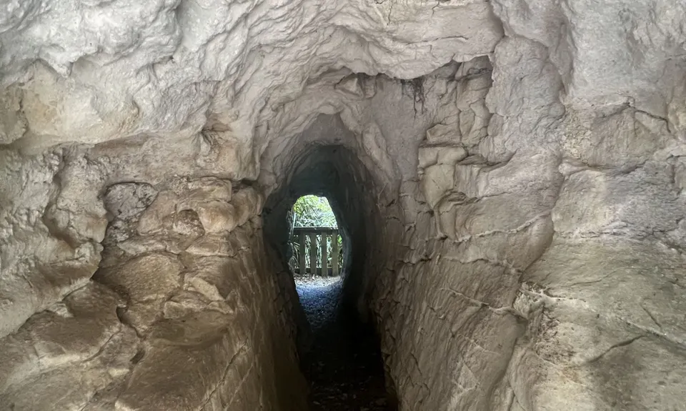 Waitomo Wander, Waikato