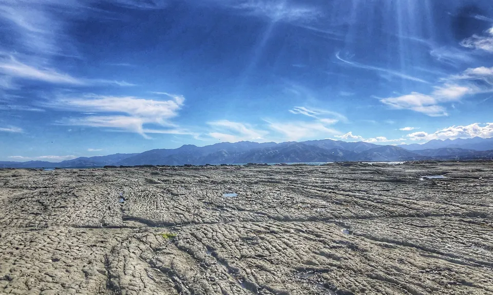 Kaikoura Cracker, Canterbury