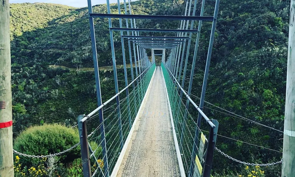 Swing Into Action, Wellington