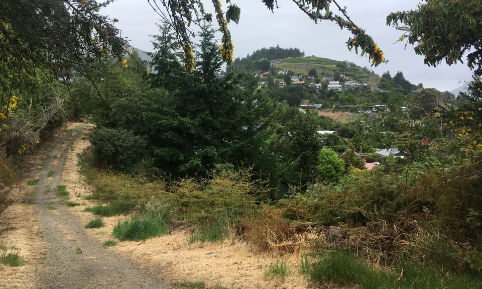 Arawata Track, Otago