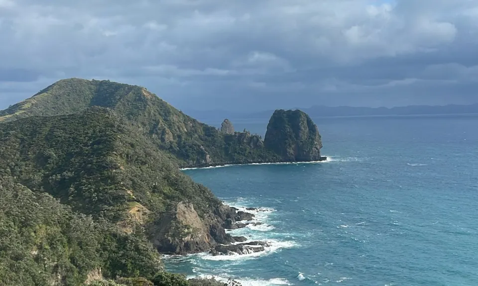 Top of the Coromandel, Waikato