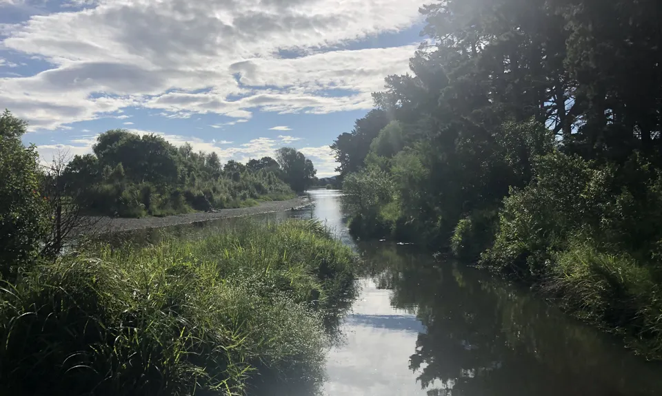 Waikanae River & Estuary, Wellington