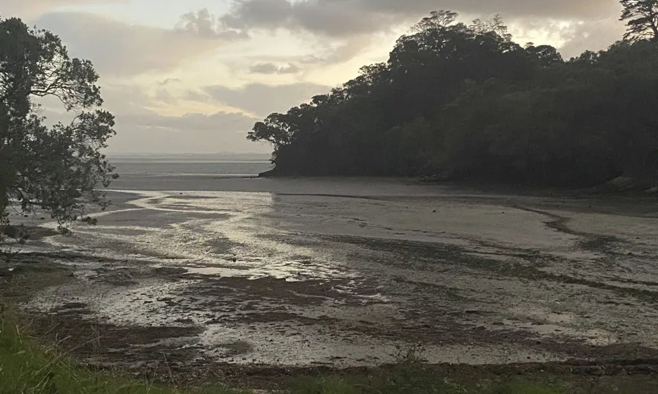 Waikowhai Stairs, Bush & Beach, Auckland