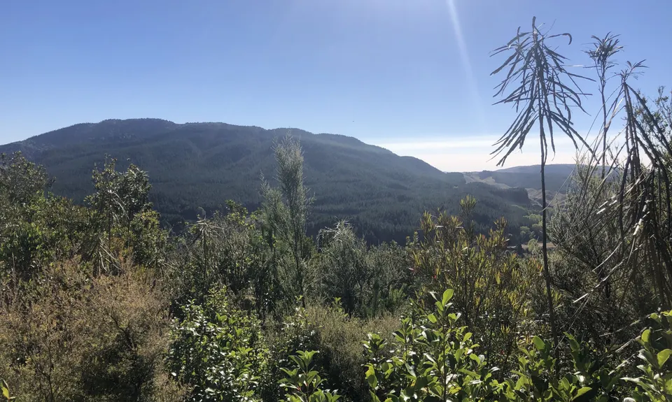Single Rainbow, Bay of Plenty