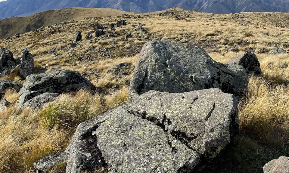 Mt Barrosa Burn, Canterbury